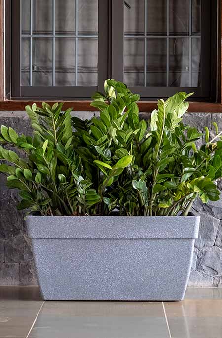 Barca Rectangle Planter With wheel