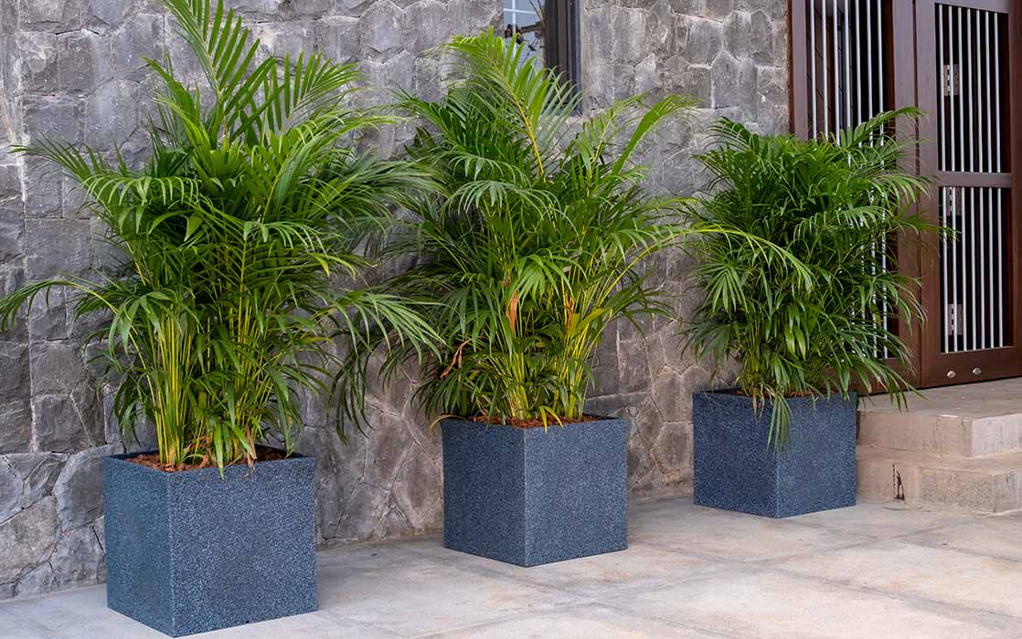 QUEBEC SQUARE PLANTERS
