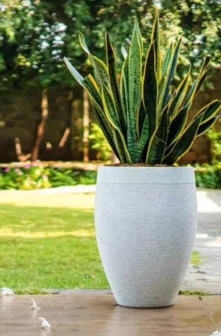 Milano High Planter - Modern Ribbed Round Planter for Indoor & Outdoor