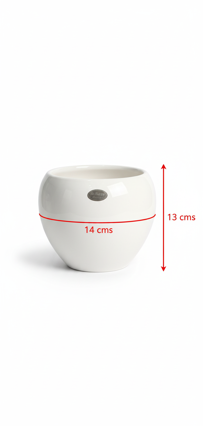 Pot with dimensions