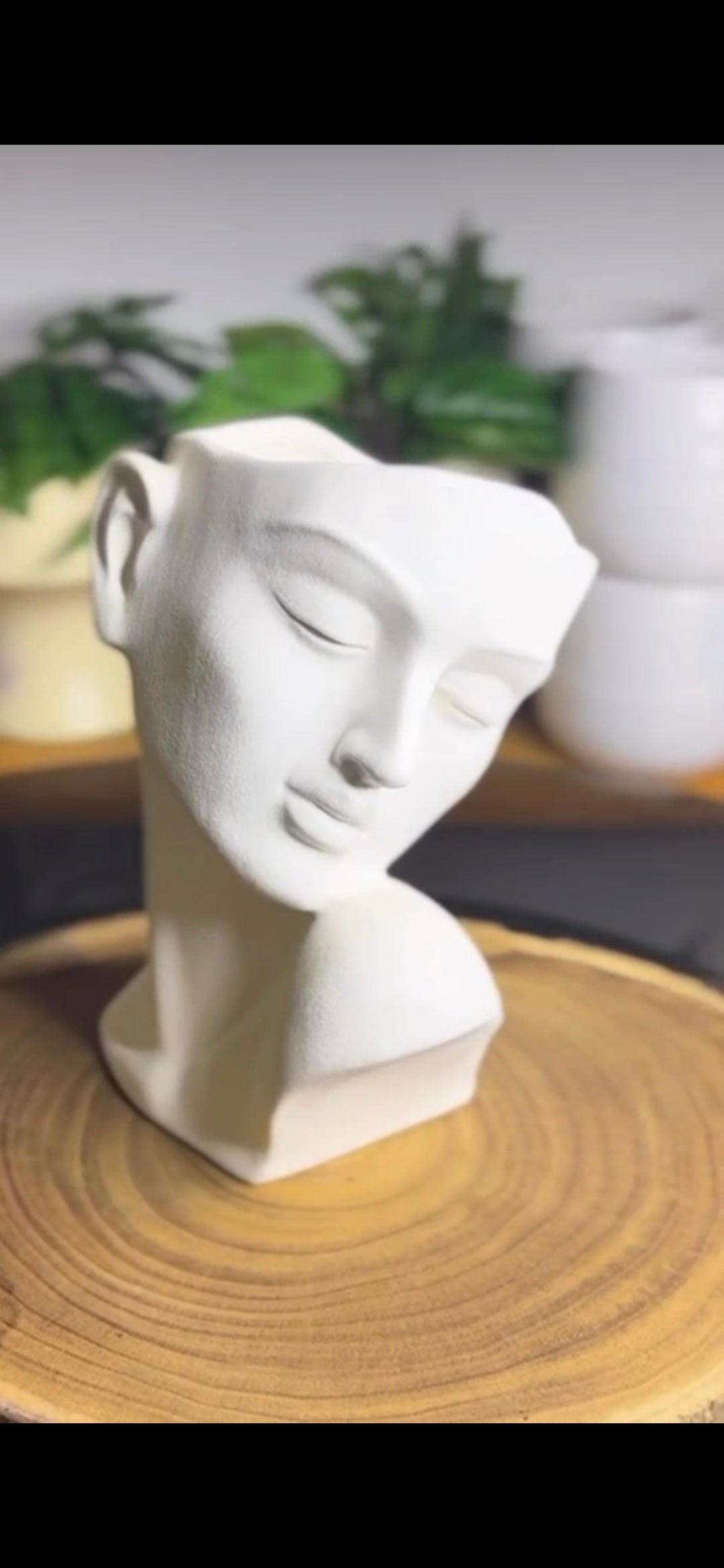 Abstract Face Sculpture Planter - Modern Artistic Home Decor