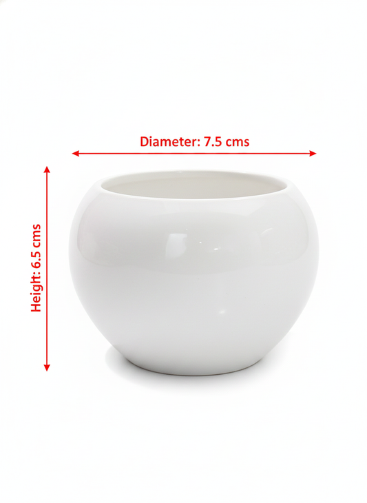 Mini Sphere White Ceramic Planter – Small Round Pot for Succulents & Air Plants