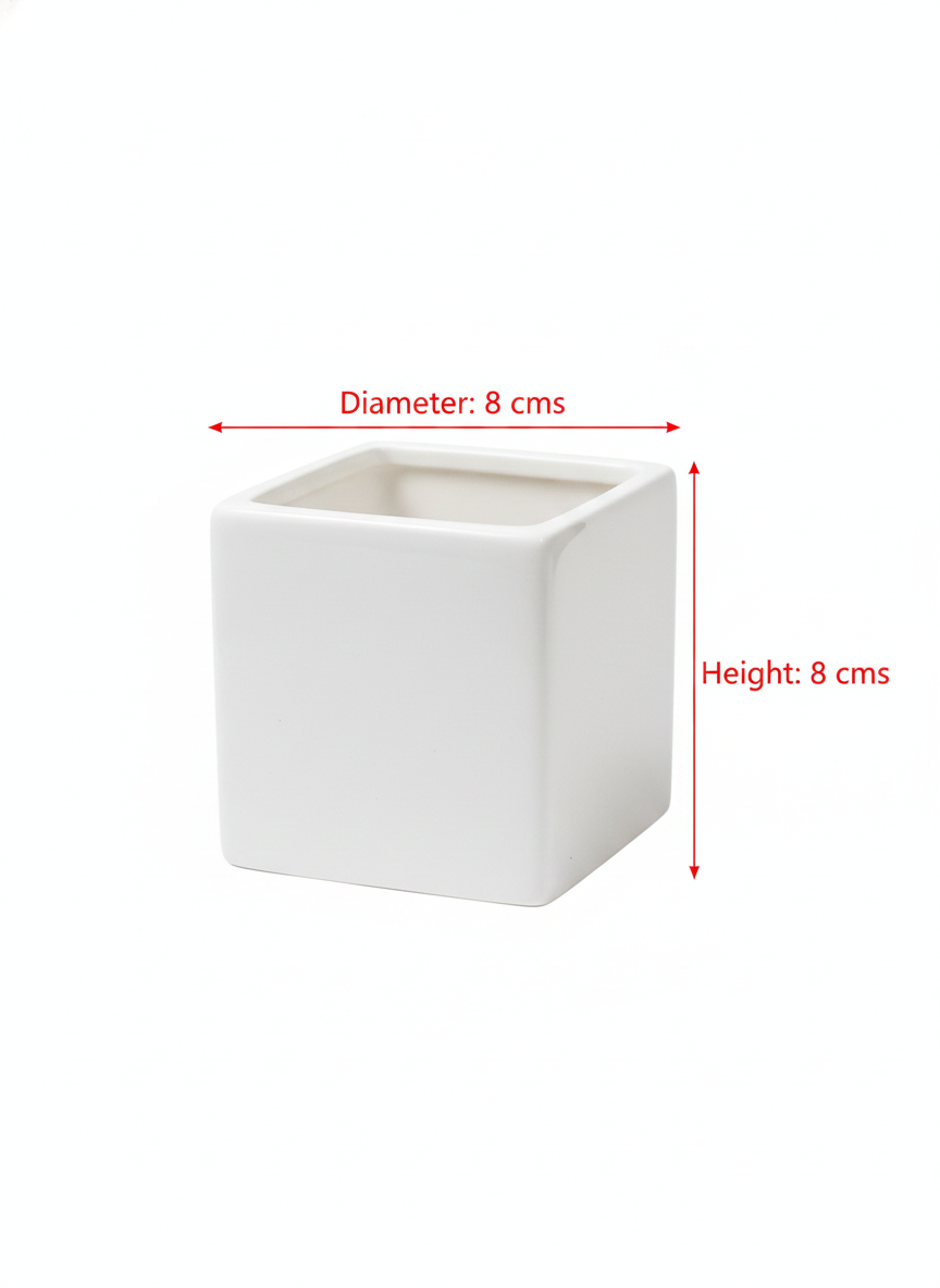 Modern Square White Ceramic Planter – Minimalist Tabletop Pot for Succulents & Small Plants