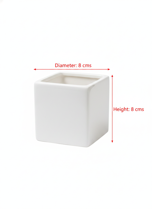 Modern Square White Ceramic Planter – Minimalist Tabletop Pot for Succulents & Small Plants