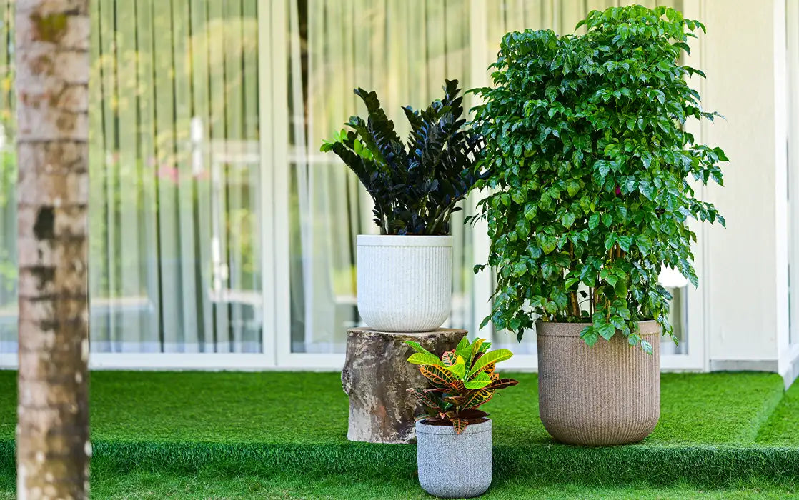 TOKYO 30 SHORT PLANTERS STONE FINISH